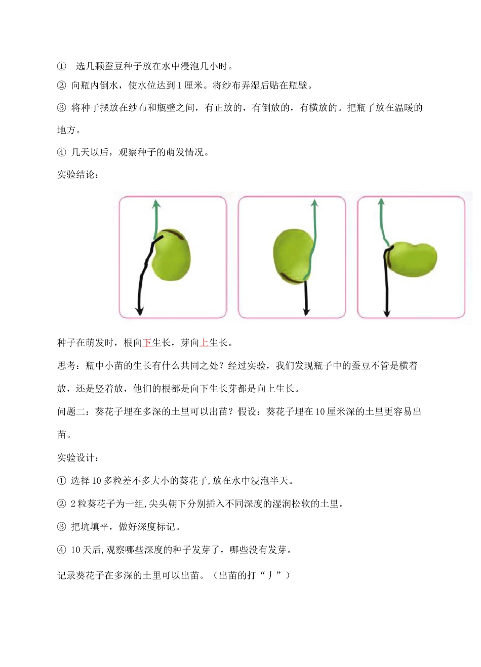 2021新苏教版科学四年级下册第四单元《繁殖》知识点整理_第2页