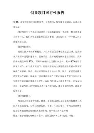 创业项目可行性报告