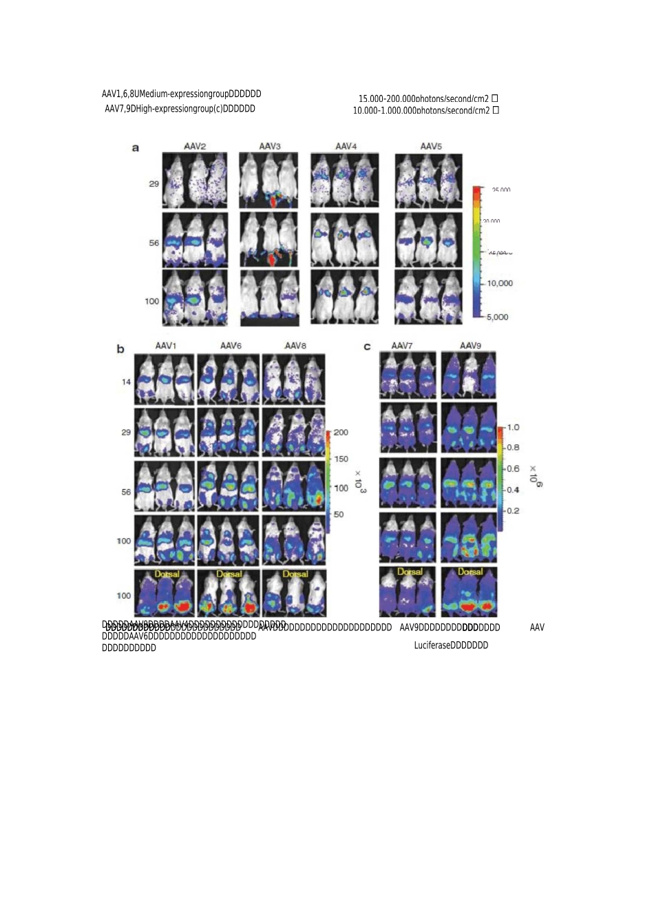 AAV动物实验--教你如何选择血清型,注射方法_第2页