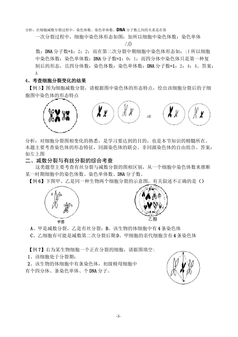 (完整版)减数分裂题型归纳答案,推荐文档_第3页