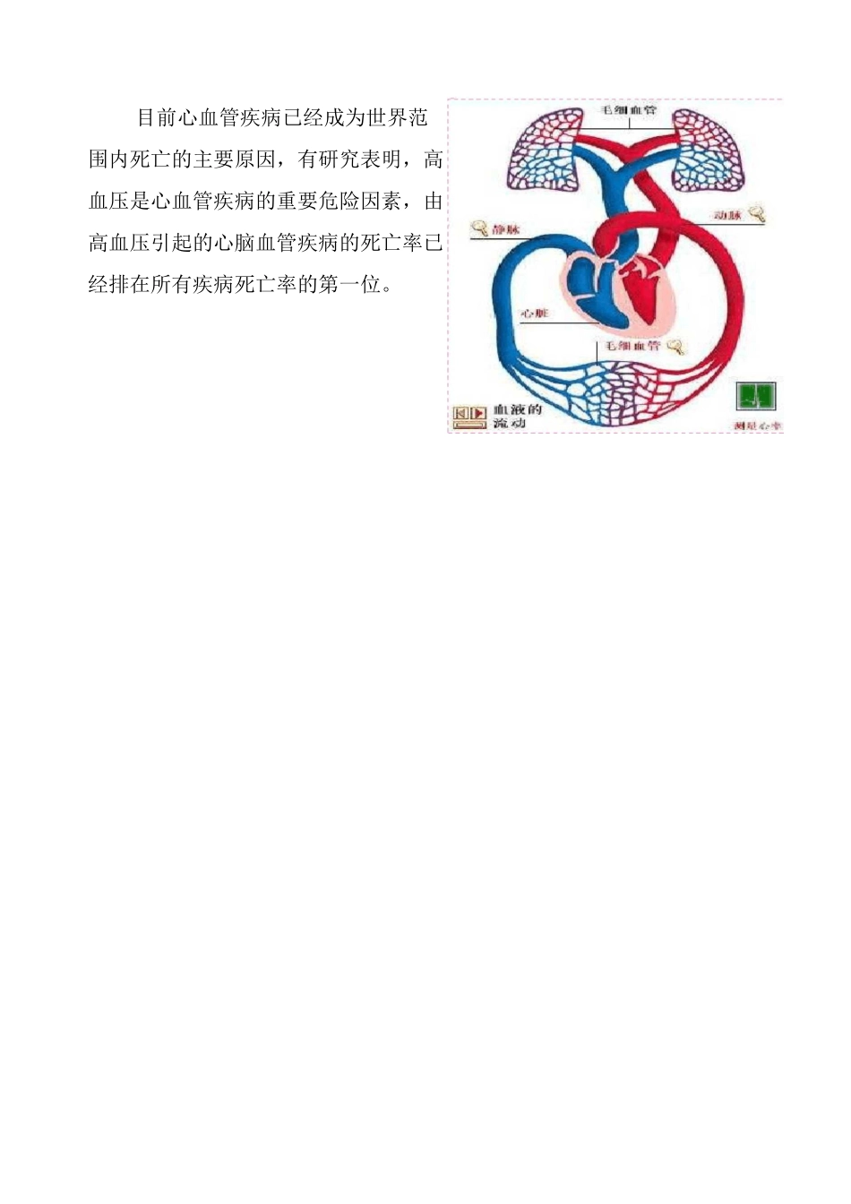 高血压宣教小册_第3页