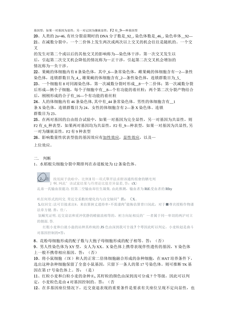 遗传学试卷._第2页