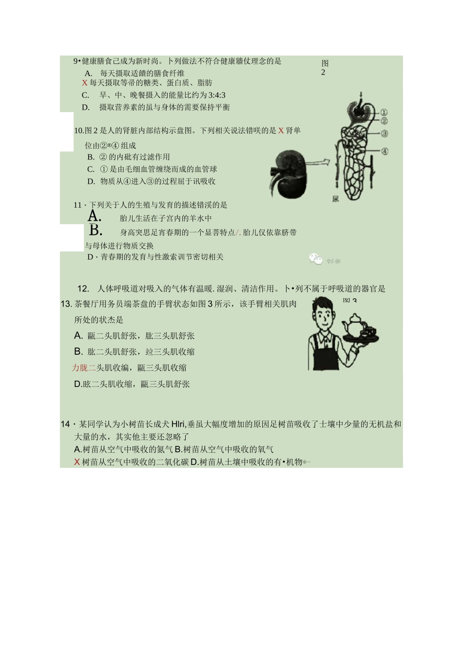 2020年广东省深圳市中考生物试题和答案_第3页