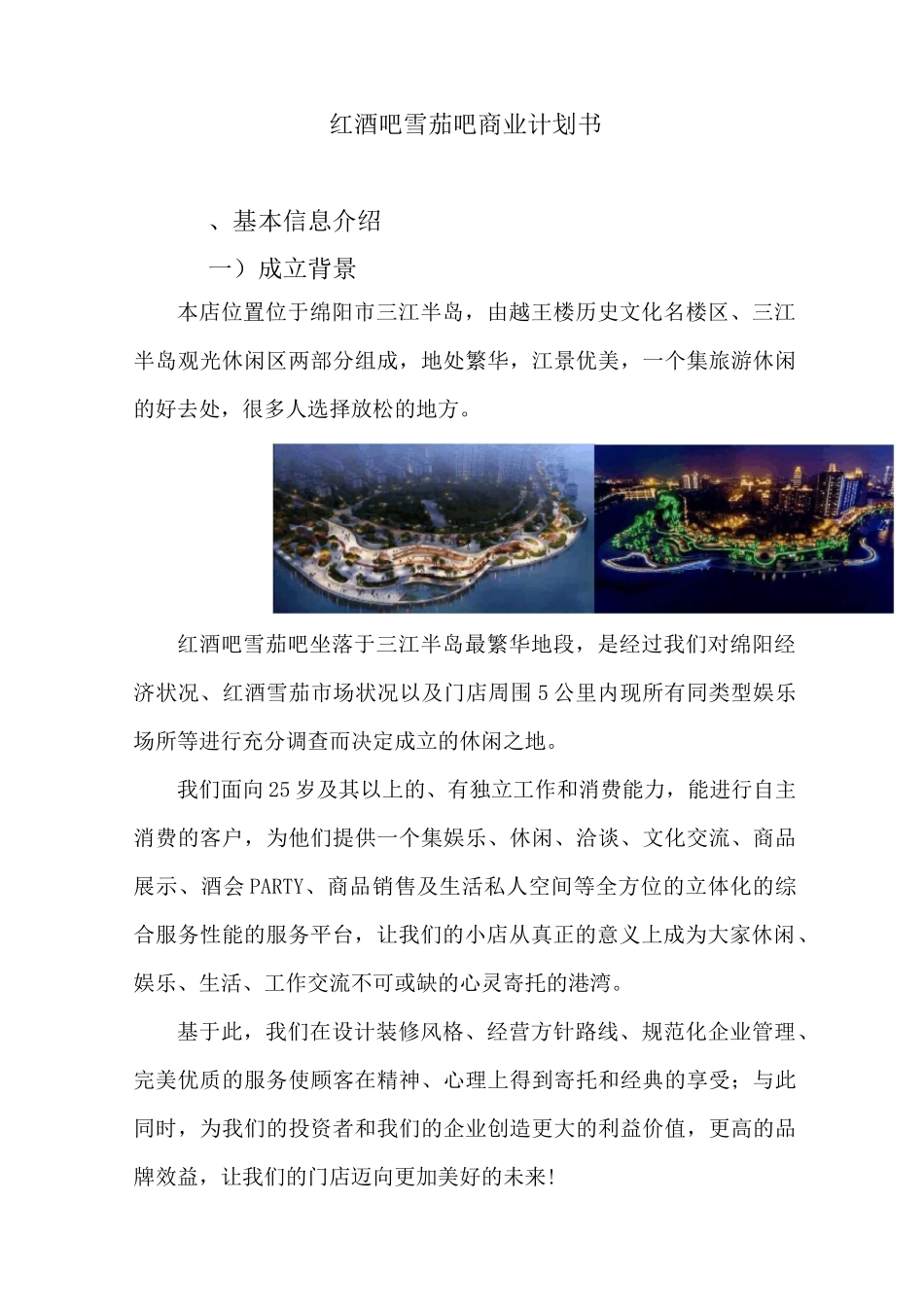 红酒吧商业计划书_第1页