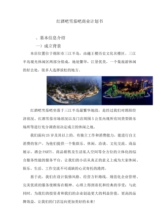 红酒吧商业计划书