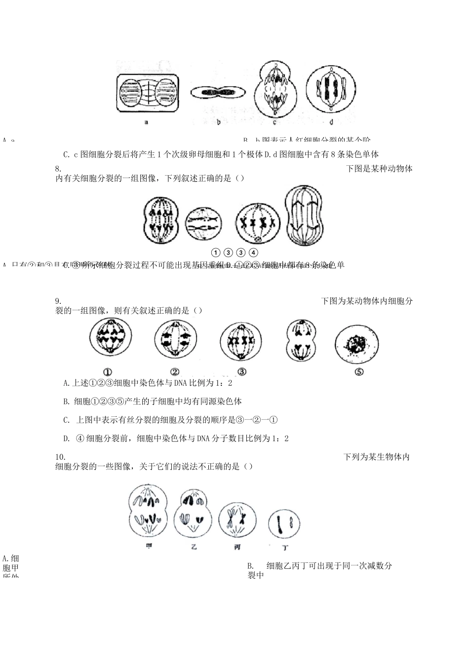 《有丝分裂与减数分裂综合练习题及答案_免费下载^》_第3页