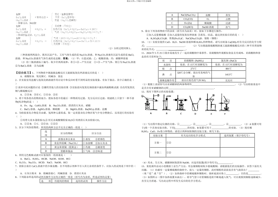 中考化学复习专题五物质的性质鉴别与推断_第2页