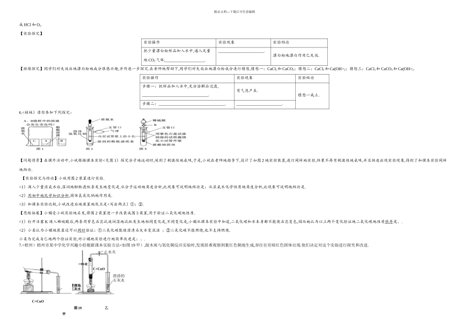 中考化学实验探究专题复习_第2页