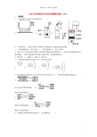 中考化学模拟试卷(含解析)