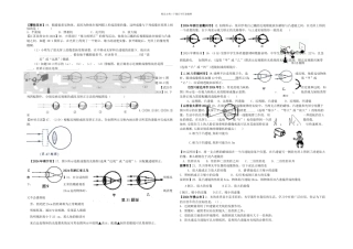 中考物理试题汇编—透镜及其应用