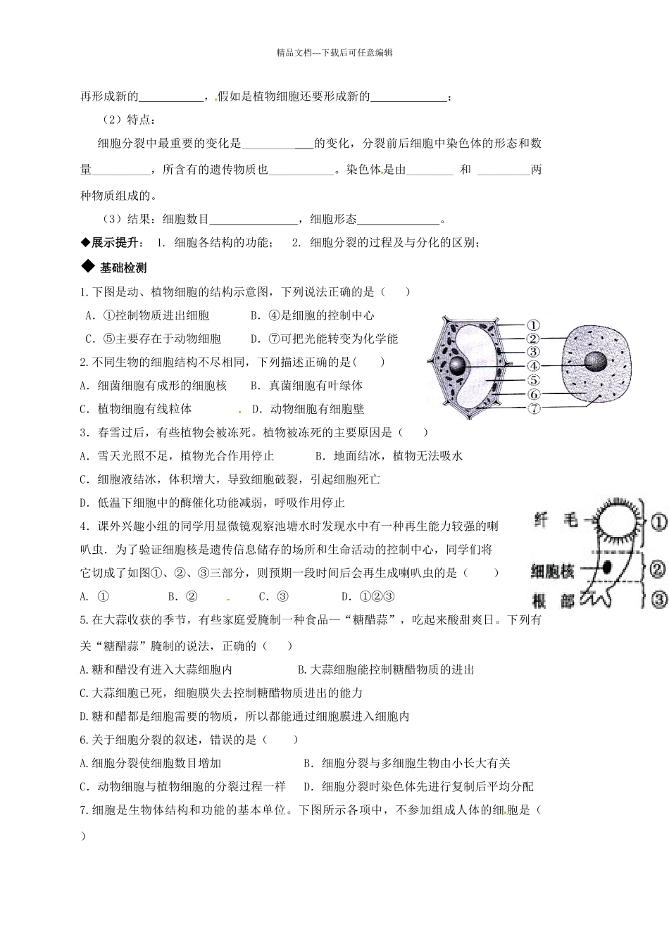 中考生物专题复习-细胞学案无答案_第2页