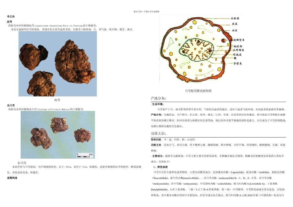 中药材品种数据下来之川芎_第2页