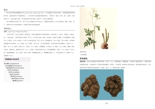 中药材品种数据下来之川芎