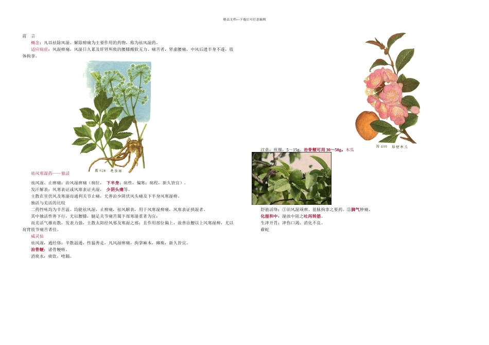 中药祛风湿药_第1页