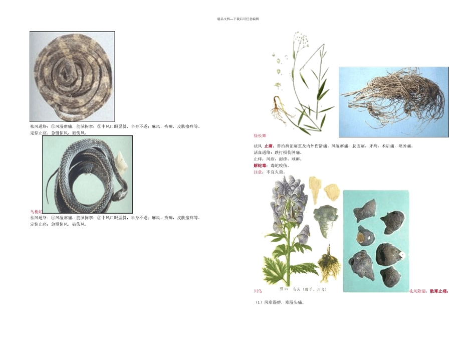 中药祛风湿药_第2页