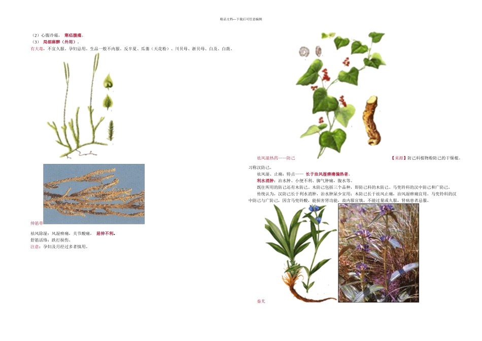 中药祛风湿药_第3页