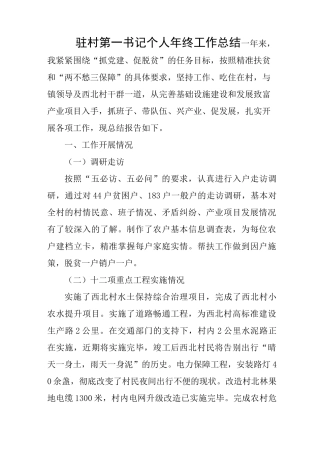 驻村第一书记个人年终工作总结 