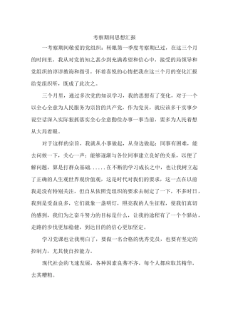 考察期间思想汇报