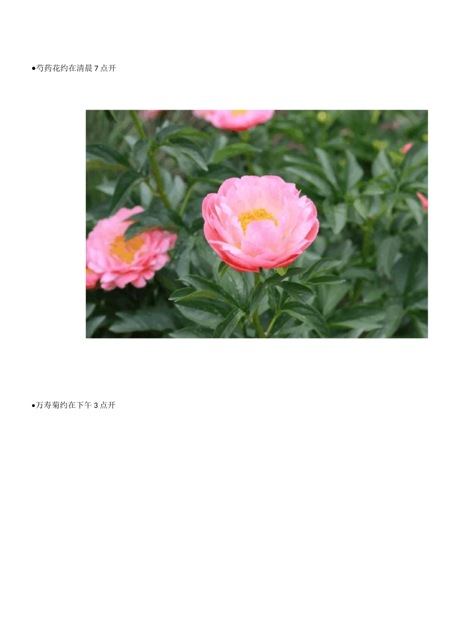 常见10种植物的开花时间规律_第3页