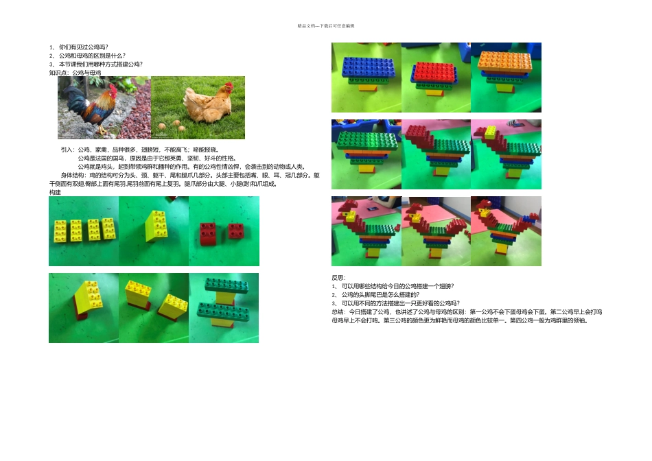 乐高大颗粒公鸡_第1页