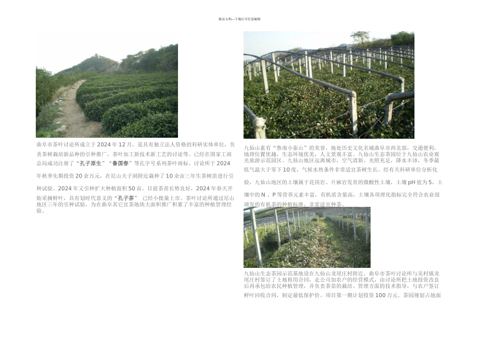 九仙山生态茶园_第1页