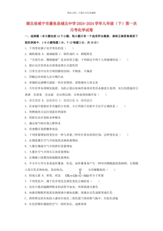 九年级化学下学期第一次月考试卷含解析-新人教版6
