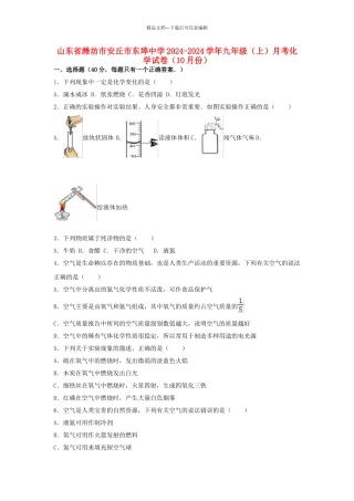 九年级化学上学期10月月考试卷含解析-新人教版6