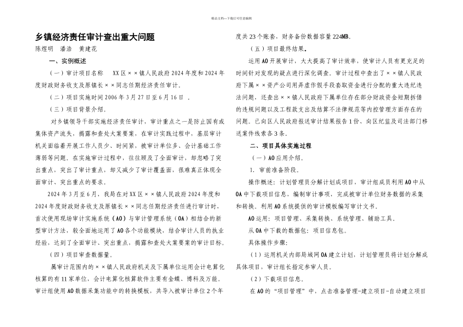 乡镇经济责任审计查出重大问题_第1页