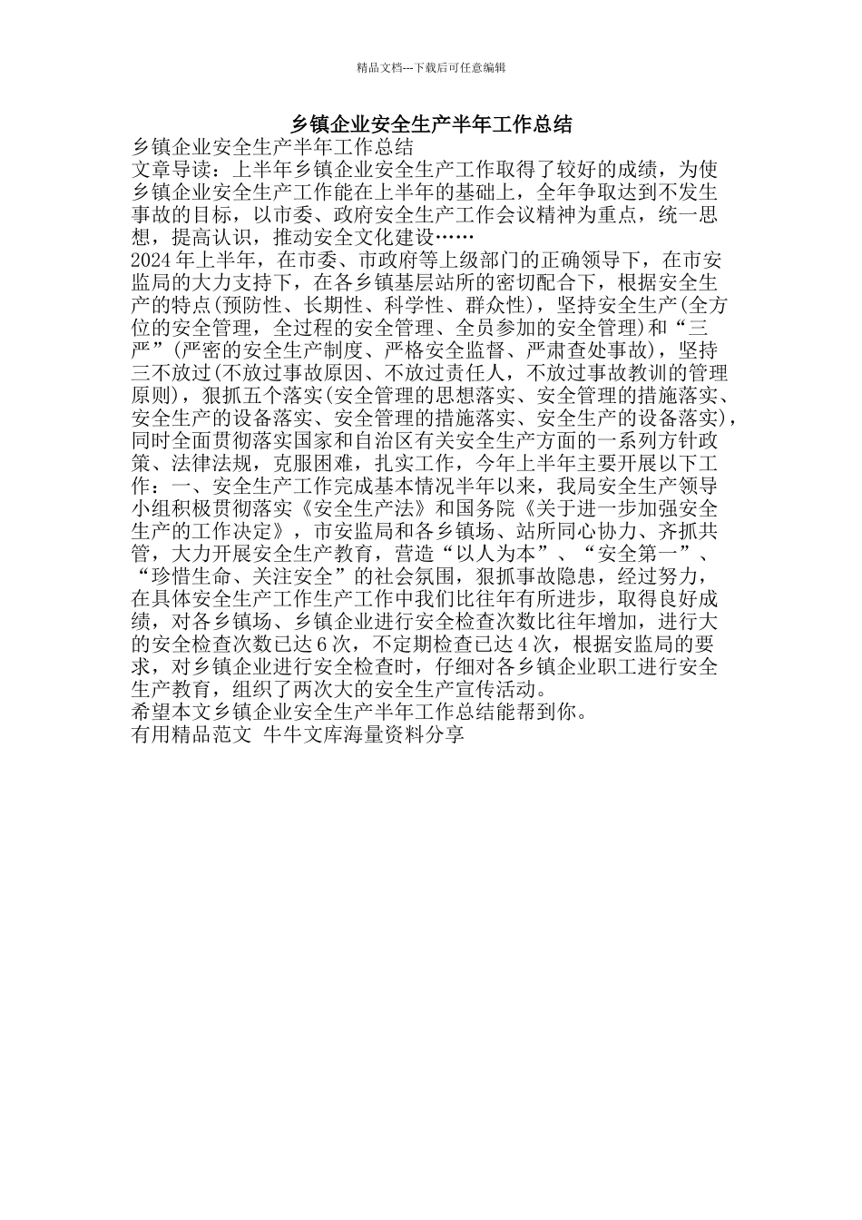 乡镇企业安全生产半年工作总结-精品范文资料_第1页