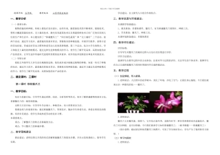 五年级综合实践活动植物栽培