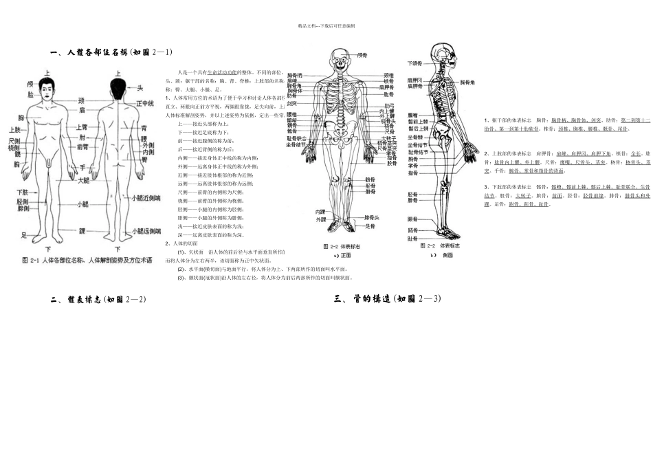 人体各部位名称及体表标志_第1页