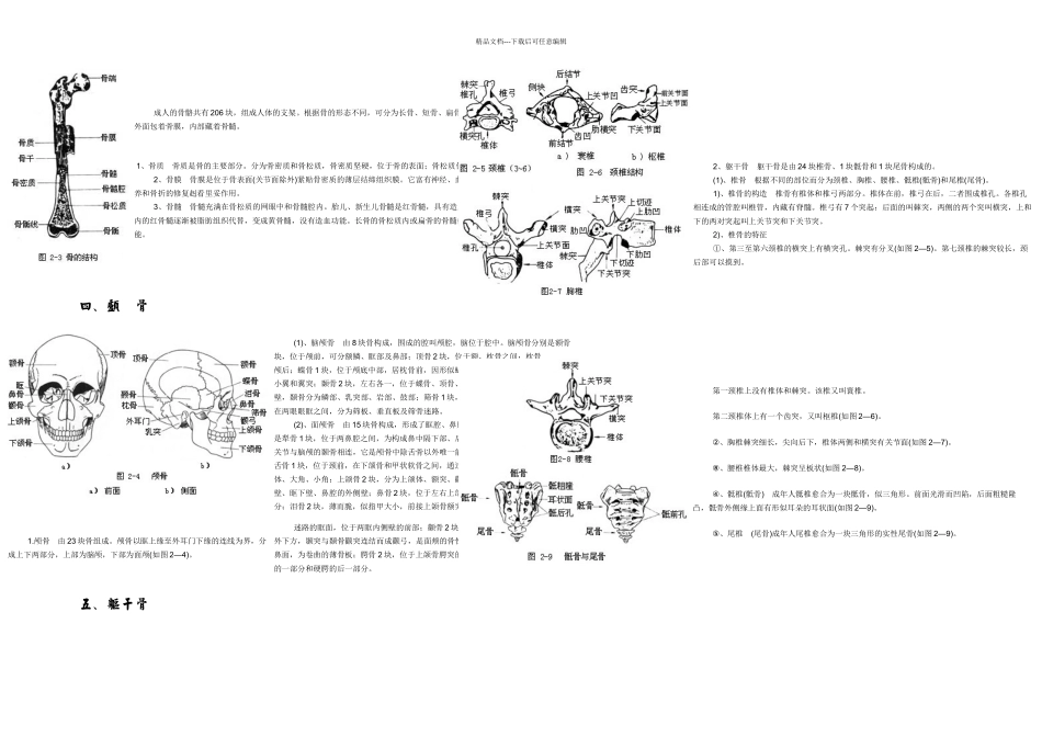 人体各部位名称及体表标志_第2页