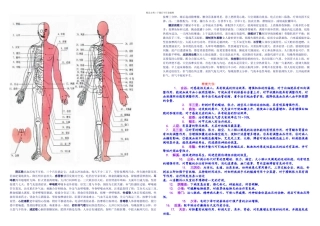 人体穴位及对应疾病治疗