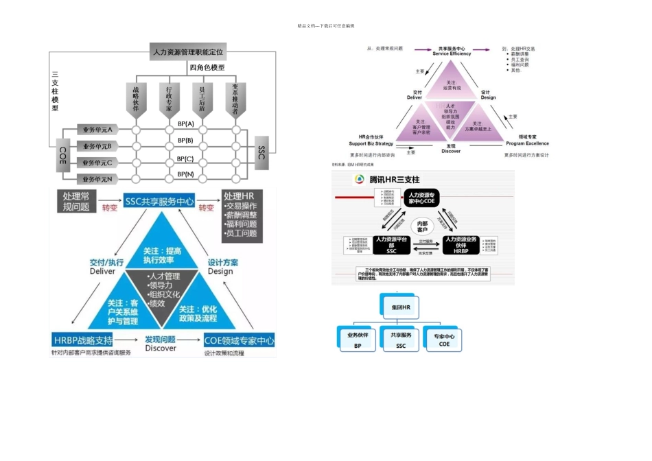 人力资源三支柱体系_第1页