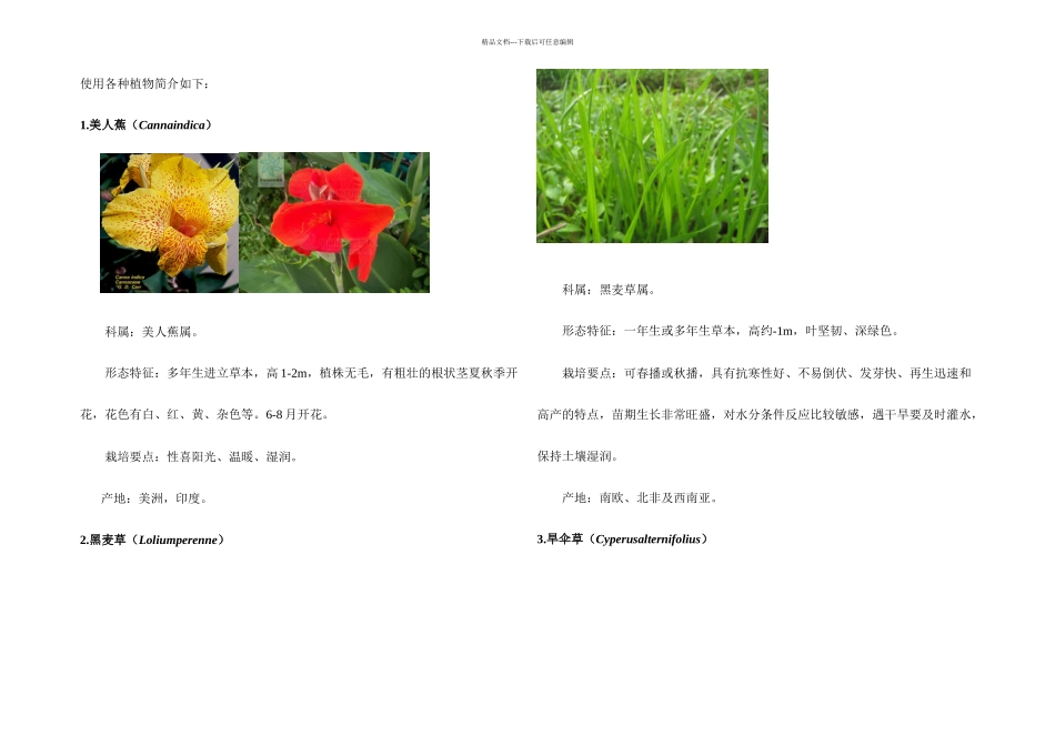 人工湿地植物布置设计说明_第3页