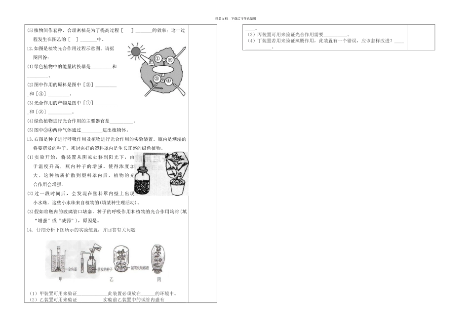 人教七年级上册中考复习专题四绿色植物的三大生理作用导学案无答案_第3页