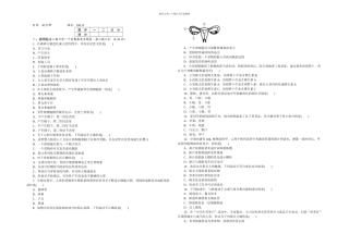 人教七年级下册生物阶段试题期中检测卷及答案