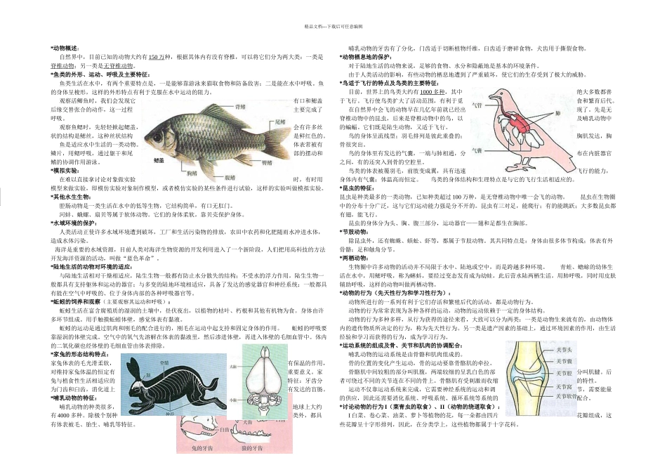 人教八年级上册生物复习提纲_第1页