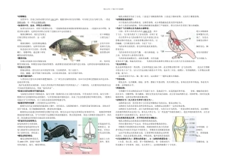 人教八年级上册生物复习提纲人教