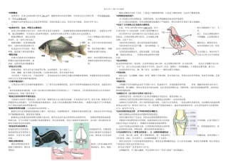 人教八年级上生物复习的提纲
