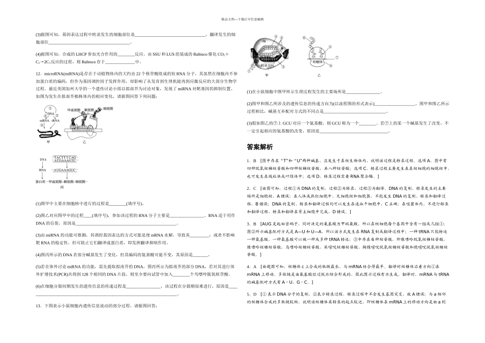 人教必修二基因指导蛋白质的合成练习题含答案解释_第3页