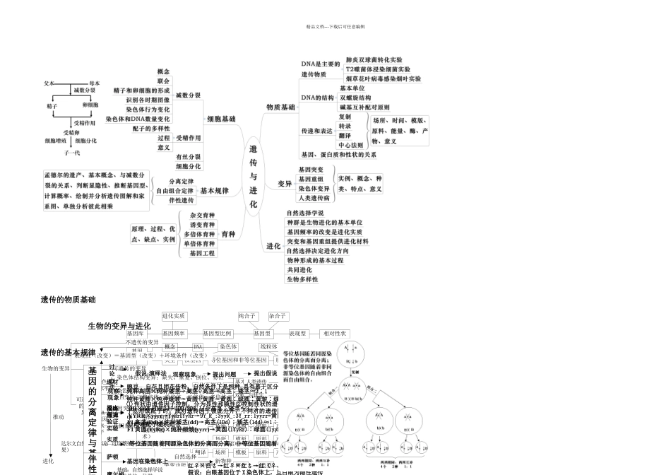 人教教学素材遗传与进化思维导图_第1页