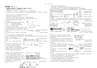 人教高一下学期学科联赛生物试题A