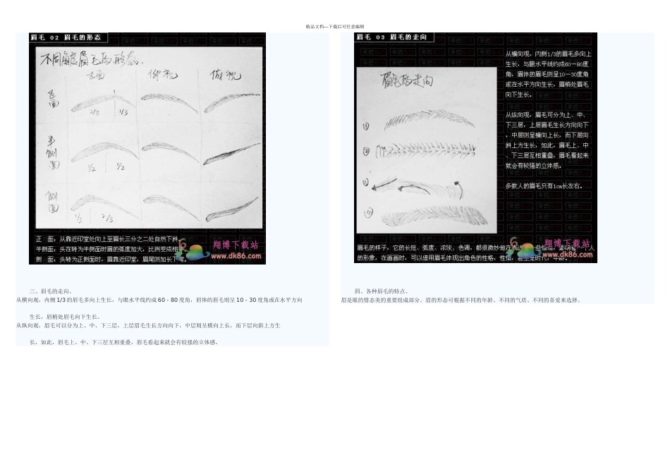 人物眉毛的画法分解模板_第2页