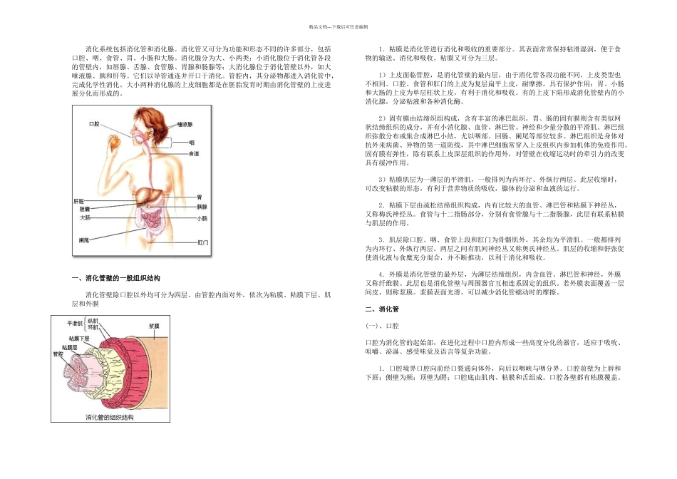 人的消化系统_第1页
