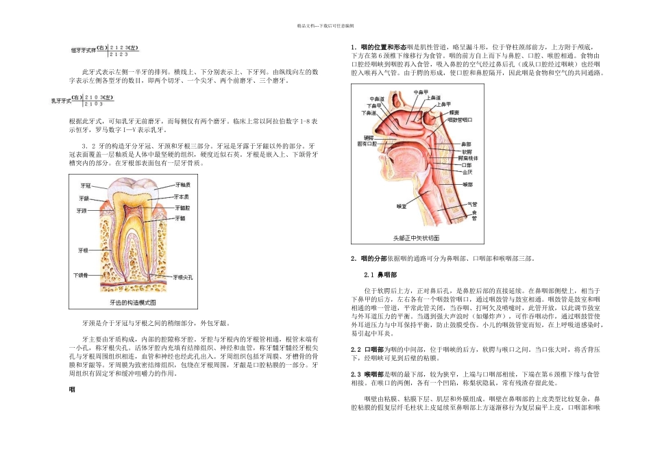 人的消化系统_第3页