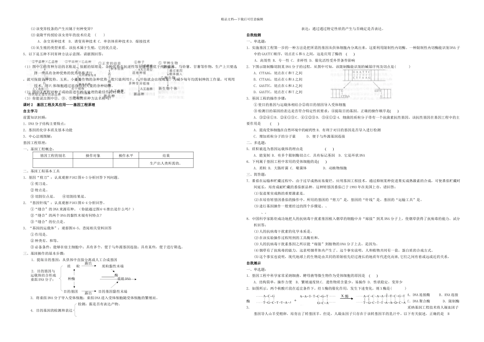 从杂交育种到基因工程习题_第2页