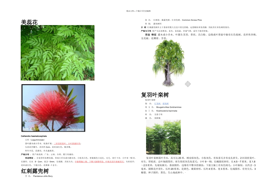 从狭义的科来说_第2页