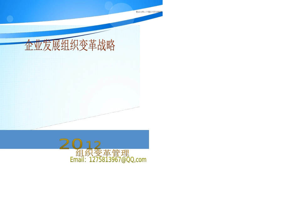 企业发展组织变革战略管理_第1页