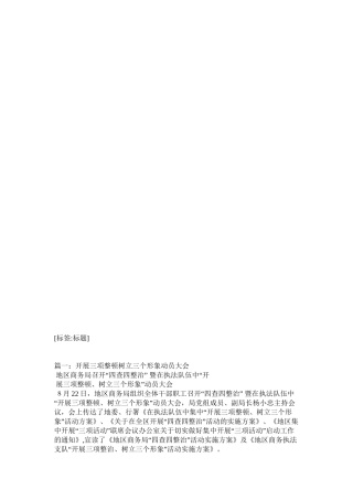 “三项整治”活动动员大会的讲话稿